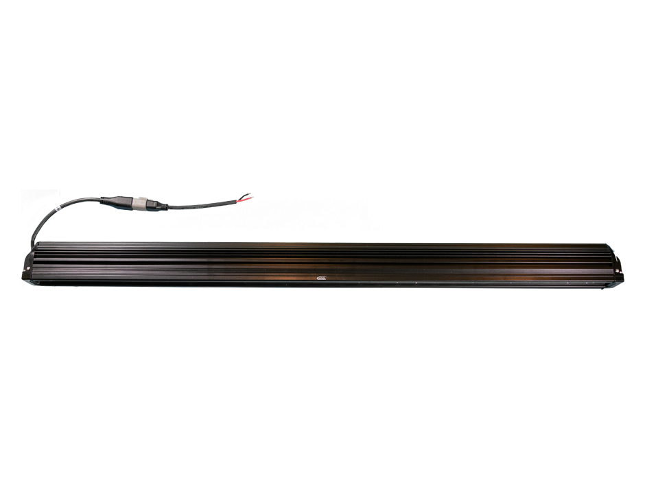 41